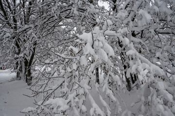 Winter Landscape of South Park in city of Sofia, Bulgaria