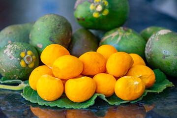 Typical ripe pequi fruit (caryocar brasiliense) in fine details and selective focus. Typical fruit from the Brazilian cerrado bioama.