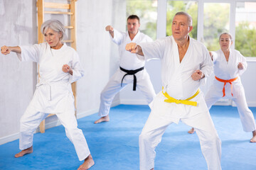 Sportive old-aged male practitioner of karate courses performing fighting positions during training...