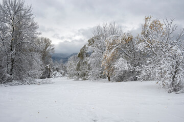Winter Landscape of South Park in city of Sofia, Bulgaria