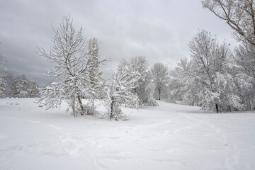 Winter Landscape of South Park in city of Sofia, Bulgaria