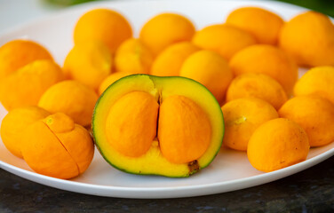 Typical ripe pequi fruit (caryocar brasiliense) in fine details and selective focus. Typical fruit from the Brazilian cerrado bioama.