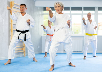 Sportive old-aged female practitioner of karate courses performing fighting positions during training session - obrazy, fototapety, plakaty