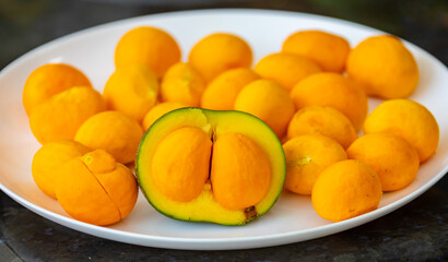 Typical ripe pequi fruit (caryocar brasiliense) in fine details and selective focus. Typical fruit from the Brazilian cerrado bioama.