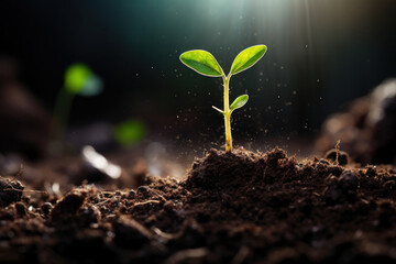 A seedling breaking through the soil, representing the germination of novel concepts and the growth of innovative ideas. Concept of conceptual germination. Generative Ai.