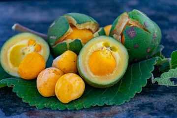 Typical ripe pequi fruit (caryocar brasiliense) in fine details and selective focus. Typical fruit of the Brazilian cerrado bioama.