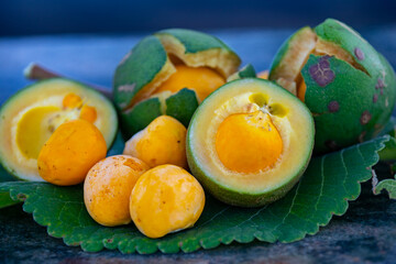 Typical ripe pequi fruit (caryocar brasiliense) in fine details and selective focus. Typical fruit of the Brazilian cerrado bioama.
