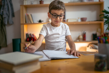 young boy child kid pupil study work on homework assignment at home