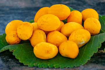 Typical ripe pequi fruit (caryocar brasiliense) in fine details and selective focus. Typical fruit of the Brazilian cerrado bioama.