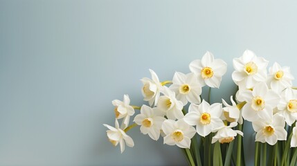 A sunlit cluster of white daffodils with a clean and simple background, ideal for text placement.