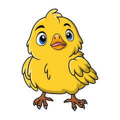 Cute chick cartoon on white background