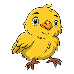 Cute chick cartoon on white background