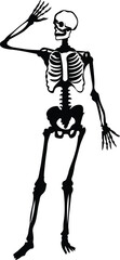 Cartoon Black and White Isolated Illustration Vector Of A Human Medical Skeleton