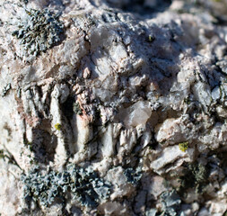 Close up of a ridged stone.