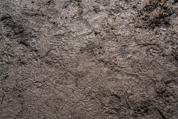 soil texture
