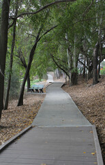 Path through a forest of trees at Reg Tanna Park in Gladstone, Queensland, Australia