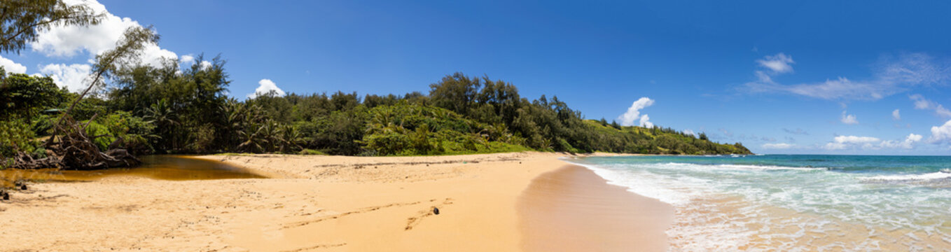 Tropical beach on the Hawaiian island of Kauai. The sand of Hawaii is warm as the ocean water waves are seen on the right. The image is a panorama. 