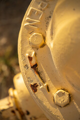 Fire Hydrant