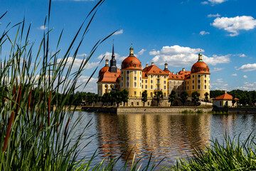 The beautiful castle of Moritzburg. Saxony, Germany. Green reeds in the foreground, reflection in...