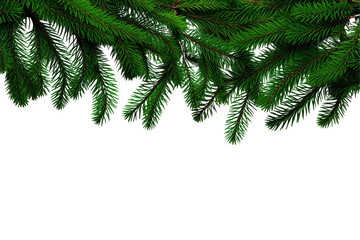 Obraz premium christmas tree branches