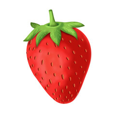Illustration of strawberry fruit 