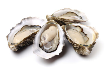 fresh oyster isolated on white background - obrazy, fototapety, plakaty