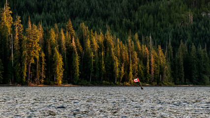 Kudo's to whoever put this flag up at Muchalat Lake on Vancouver Island, British Columbia, Canada
