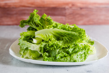 Green leaf lettuce on white plate close-up