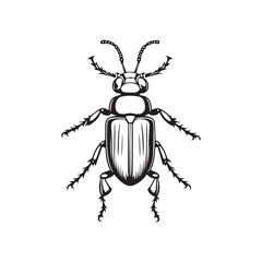 coloring book for children, types of animals in EPS vector format.