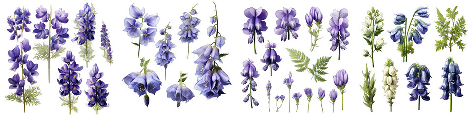 Aconitum  Flower Set Concept Props For Icon Designing Hyperrealistic Highly Detailed Isolated On Transparent Background Png File