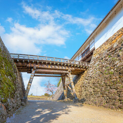 Hikone Castle in Shiga prefecture Japan during full bloom cherry blossom season