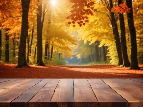 photo of empty wooden table in front, background of hanging maple leaves and autumn forest.  high photo quality
