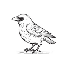coloring book for children, types of animals in EPS vector format.