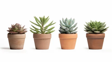 Zelfklevend Fotobehang Plants in clay pots cut out backgrounds 3d rendering, Generative AI  © Richa