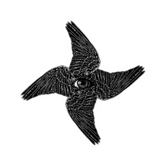 wings and eye hand drawing vector isolated on background.