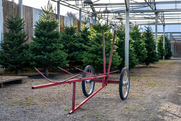 Red metal Christmas tree cart in a covered tree lot with fir trees for sale in background
