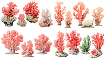 Set of various coral isolated on white background