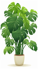 Abstract Monstera Jungle Plant Isolated