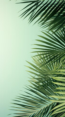 Palm leaf shadow overlay effect design