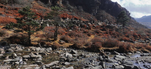 mountain beauty and wilderness of east sikkim, high-altitude himalayan region near india, china and bhutan tri-junction close to the chumbi valley