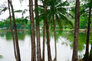 Thailand Phuket island lagoon area. nature and houses, beach and sea