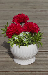 red carnations planted in white pots.