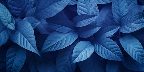 Blue Leaf Texture Image,Leaves Texture Natural