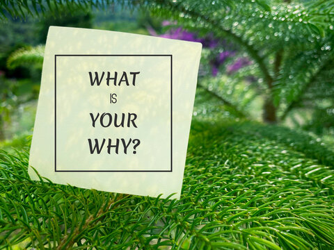 Inspirational Concept - What is your why question on notepaper with nature background.