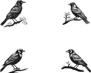 Set of black crow  with tree silhouettes on white Background 