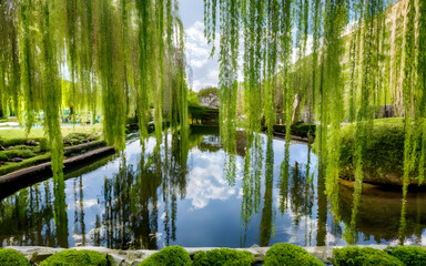 Tranquil Oasis, A Picturesque Pond Enveloped by Weeping Willows
