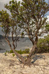 white crater, indonesia volcano, mountains