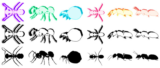 Set collections trendy Ants icon logo insect animal design vector illustration