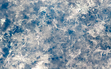 Close-up of snowflakes on a blue background. Macro