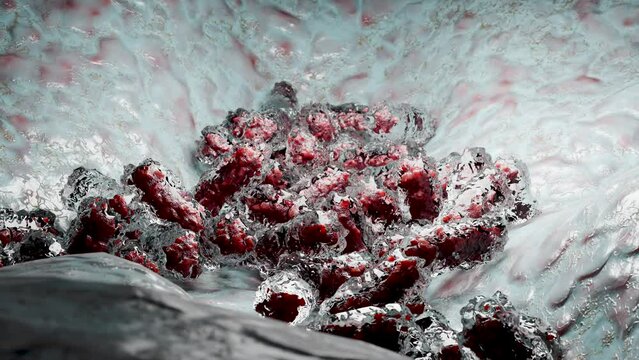 Virus Growth, cells multiplying, molecules reproduction division and cloning process, Cloning bacteria or Virus, duplicating its contents and dividing into two new cells, 3d render 